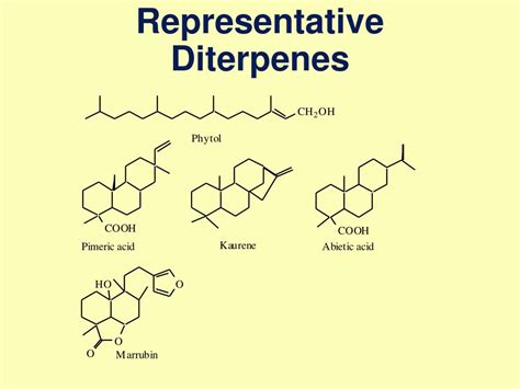 diterpene|diterpenes examples.